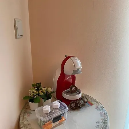 Comfortable Guest With Balcony