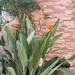 Casa Marta