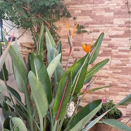 Comfortable Guest With Balcony